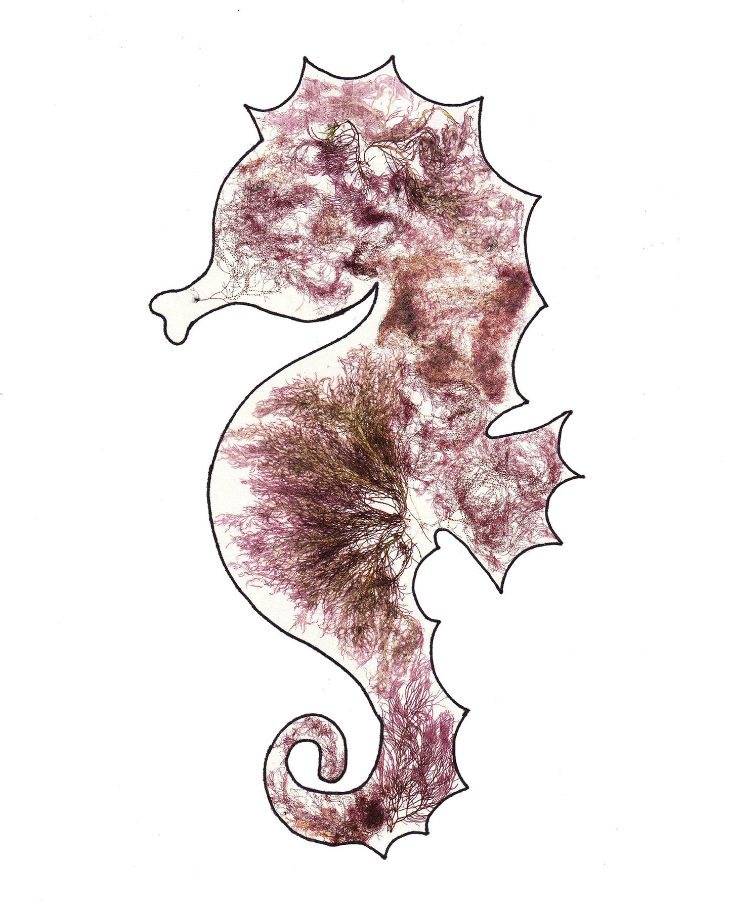 Seahorse Print