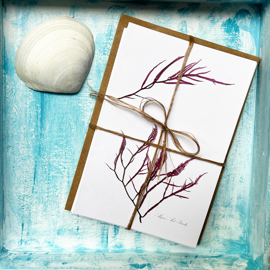 Natural Algae Greeting Cards