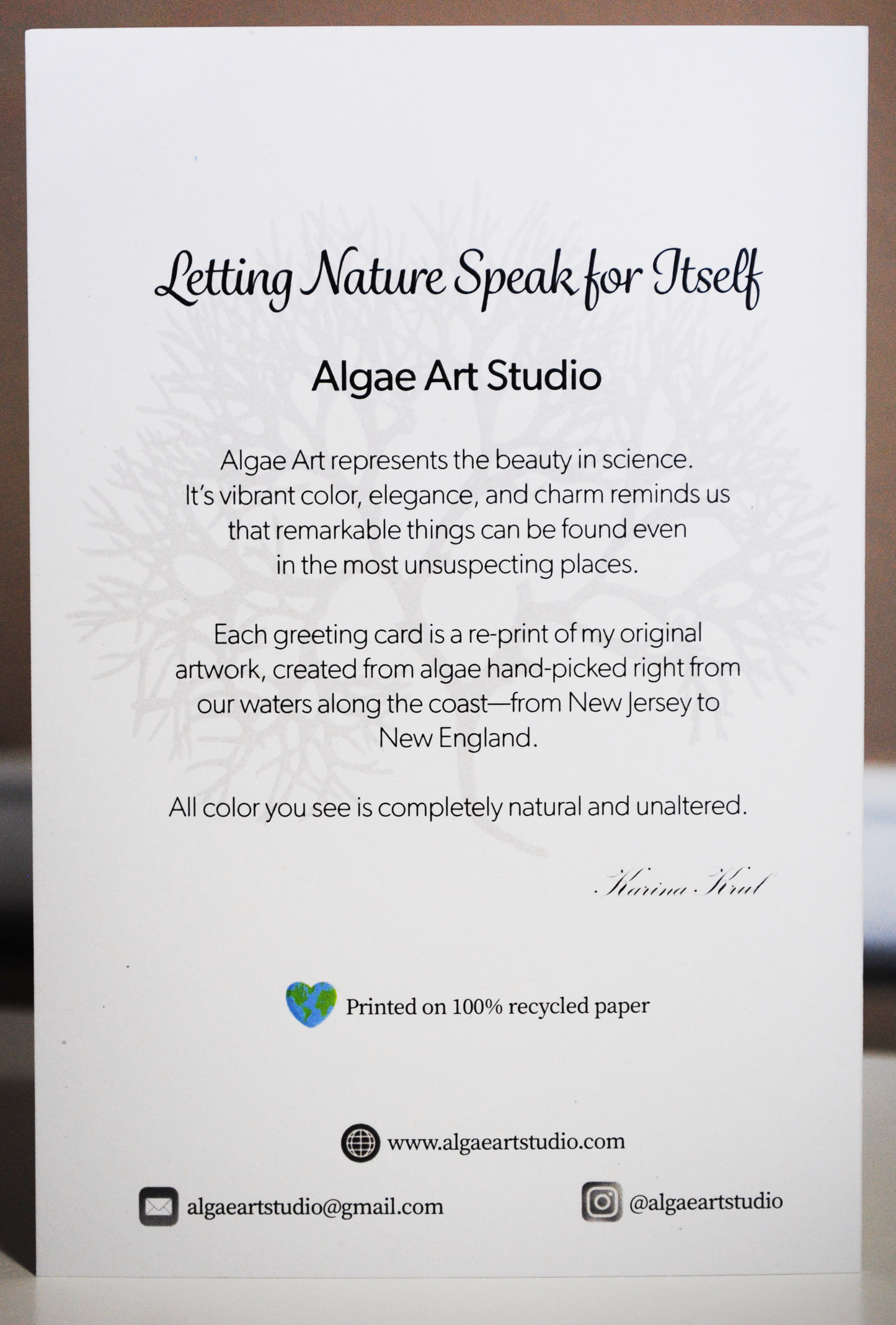 Natural Algae Greeting Cards
